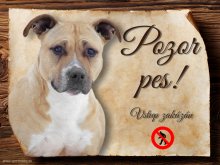 Cedulka Americký stafordšírský teriér - Pozor pes zákaz