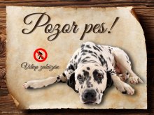 Cedulka Dalmatin - Pozor pes zákaz
