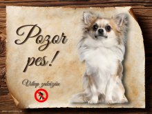 Cedulka Čivava V - Pozor pes zákaz