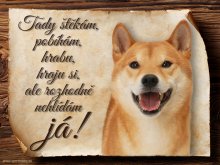 Cedulka Shiba-Inu - Tady štěkám ...