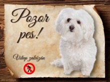 Cedulka Boloňský psík - Pozor pes zákaz
