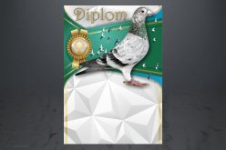 Diplom poštovní holub D149