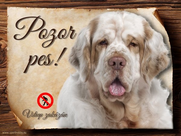 Cedulka Clumber španěl - Pozor pes zákaz