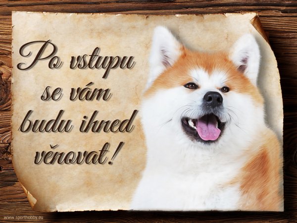 Cedulka Akita Inu - Po vstupu ...