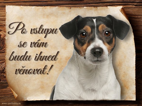 Cedulka Jack Russell teriér - Po vstupu ...