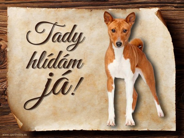 Cedulka Basenji - Tady hlídám já