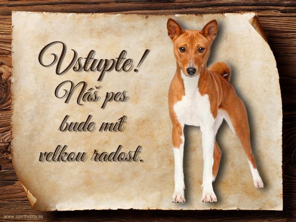 Cedulka Basenji - Vstupte