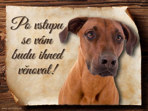 Cedulka Rhodéský ridgeback - Po vstupu ...