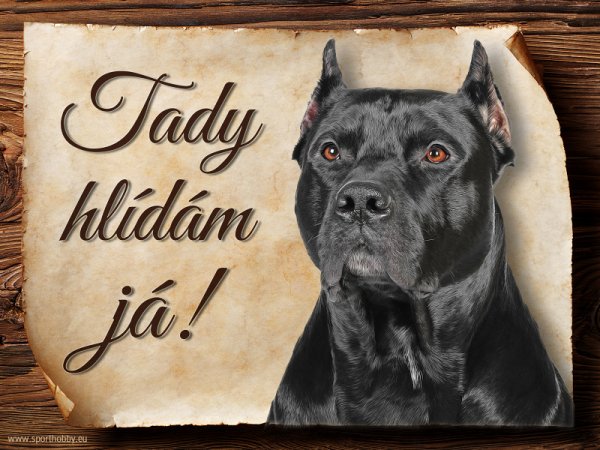 Cedulka Americký pitbulterier - Tady hlídám já!