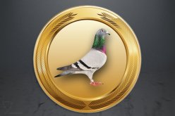Emblém poštovní holub GL265