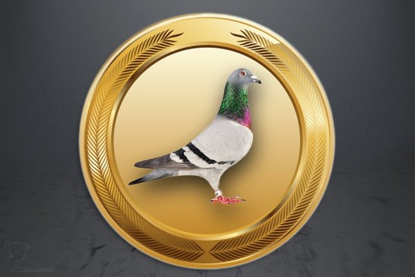 Emblém poštovní holub GL265