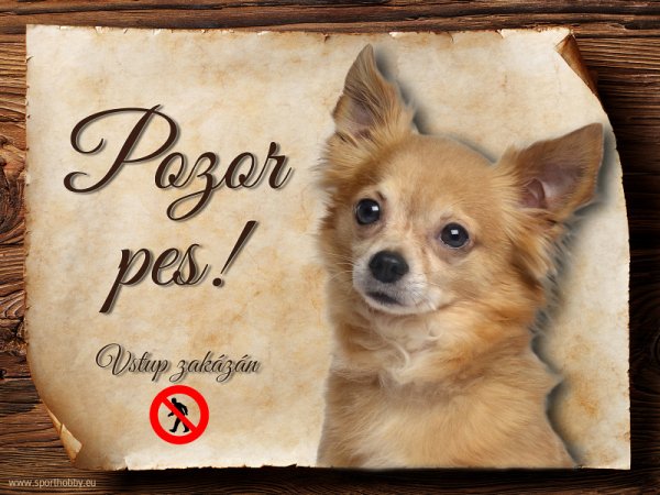 Cedulka Čivava IV - Pozor pes zákaz