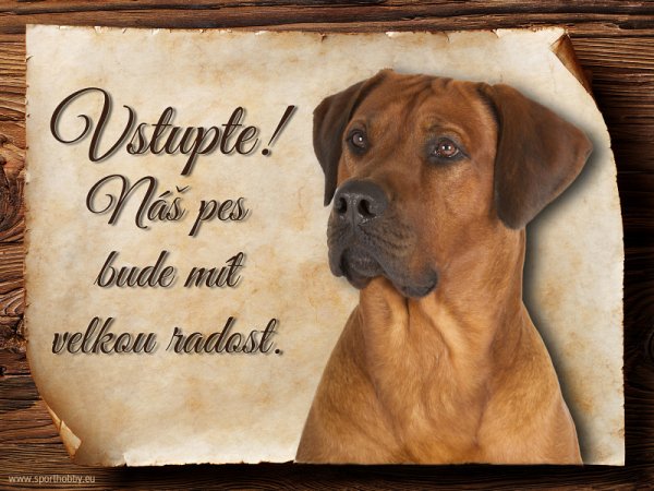 Cedulka Rhodéský ridgeback II - Vstupte