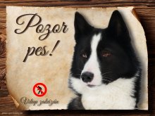 Cedulka Karelský medvědí pes - Pozor pes zákaz