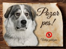 Cedulka Pyrenejský horský pes - Pozor pes zákaz