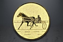 Emblém jezdectví, zlato EM157