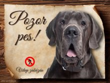 Cedulka Dánská doga - Pozor pes zákaz