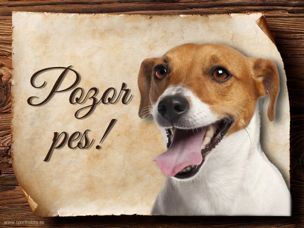 Cedulka Jack Russell teriér - Pozor pes