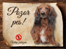 Cedulka Jezevčík - Pozor pes zákaz