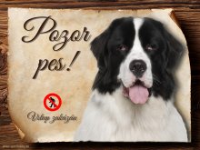 Cedulka Landseer - Pozor pes zákaz