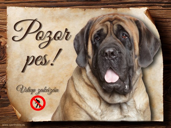 Cedulka Anglický mastif - Pozor pes zákaz