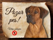 Cedulka Rhodéský ridgeback II - Pozor pes zákaz