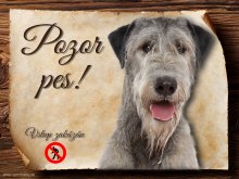 Cedulka Irský vlkodav II - Pozor pes zákaz