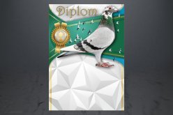 Diplom poštovní holub D147