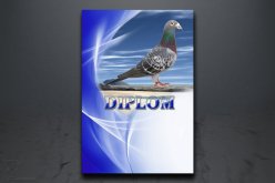 Diplom poštovní holub
