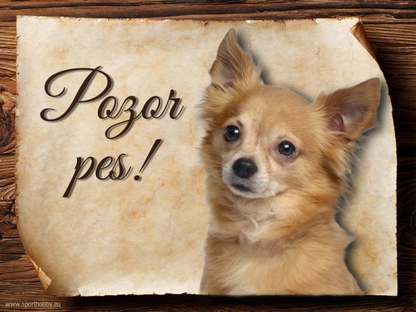 Cedulka Čivava IV - Pozor pes