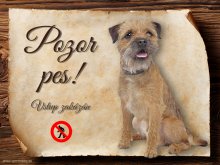 Cedulka Border teriér - Pozor pes zákaz
