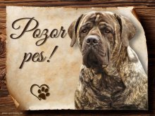 Cedulka Boerboel - Pozor pes