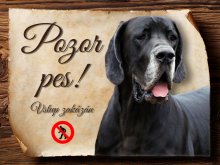 Cedulka Německá doga III - Pozor pes zákaz