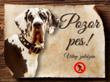 Cedulka Německá doga IV - Pozor pes zákaz