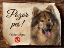 Cedulka Eurasier II - Pozor pes zákaz