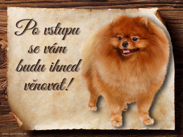 Cedulka Pomeranian - Po vstupu ...