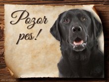Cedulka Labrador retrívr - Pozor pes