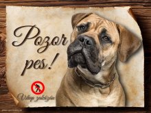 Cedulka Bulmastif - Pozor pes zákaz