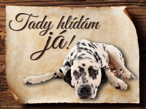 Cedulka Dalmatin  - Tady hlídám já