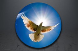 Emblém poštovní holub GL237