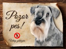 Cedulka Knírač - Pozor pes zákaz