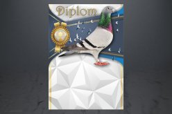 Diplom poštovní holub D153
