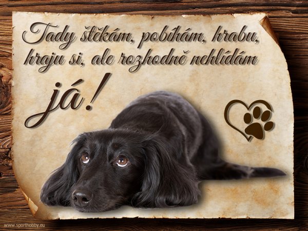 Cedulka Jezevčík černý dlouhosrstý - Tady štěkám...