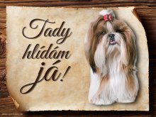 Cedulka Shih-tzu - Tady hlídám já