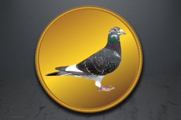 Emblém poštovní holub GL227