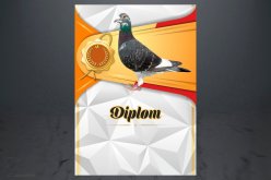 Diplom poštovní holub D172