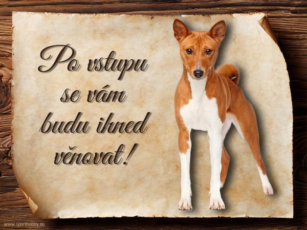 Cedulka Basenji - Po vstupu ...