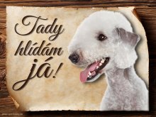 Cedulka Bedlington teriér - Tady hlídám já