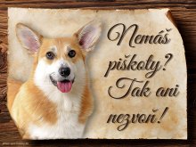 Cedulka Welsh Corgi Pembroke - Piškoty