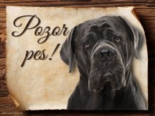 Cedulka Cane Corso - Pozor pes